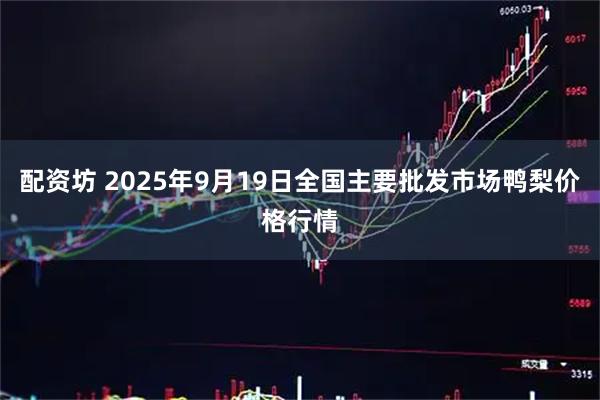配资坊 2025年9月19日全国主要批发市场鸭梨价格行情