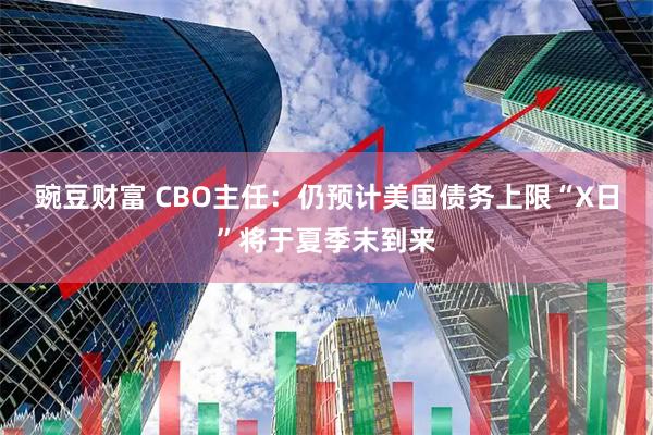 豌豆财富 CBO主任：仍预计美国债务上限“X日”将于夏季末到来