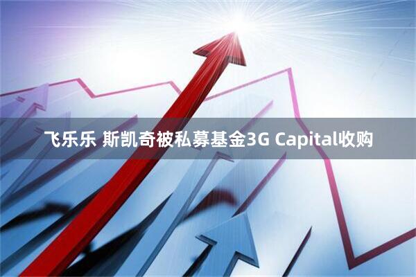 飞乐乐 斯凯奇被私募基金3G Capital收购