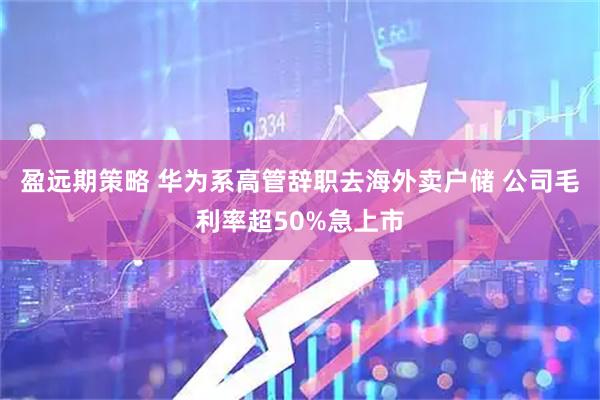 盈远期策略 华为系高管辞职去海外卖户储 公司毛利率超50%急上市