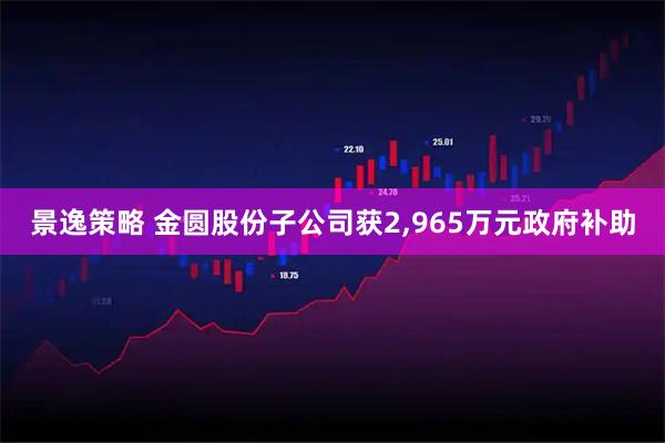 景逸策略 金圆股份子公司获2,965万元政府补助