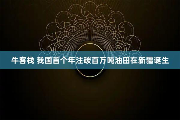 牛客栈 我国首个年注碳百万吨油田在新疆诞生
