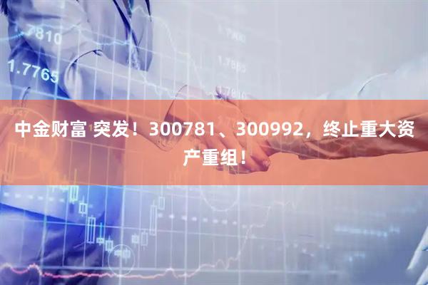 中金财富 突发！300781、300992，终止重大资产重组！